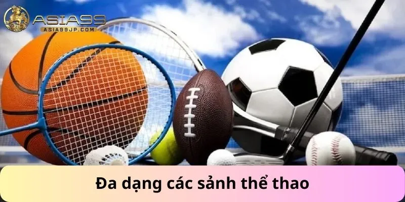 Đa dạng các sảnh thể thao
