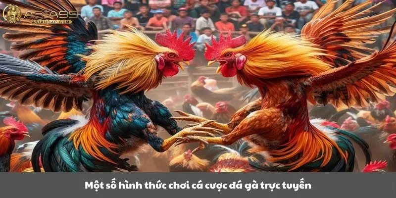 Một số hình thức chơi cá cược đá gà trực tuyến