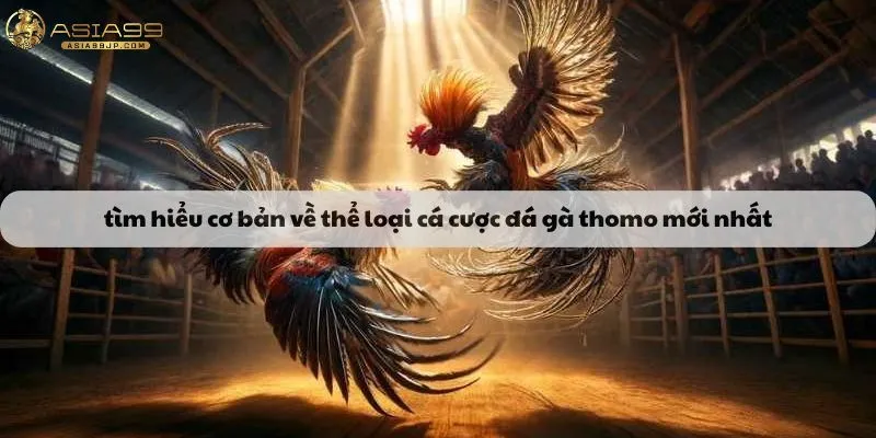 Tìm hiểu cơ bản về thể loại cá cược đá gà thomo mới nhất