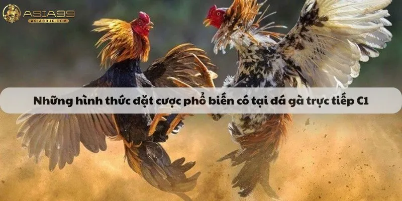 Những hình thức đặt cược phổ biến có tại đá gà trực tiếp C1