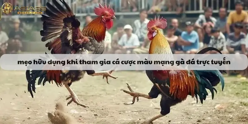 Một vài mẹo hữu dụng khi tham gia cá cược màu mạng gà đá trực tuyến