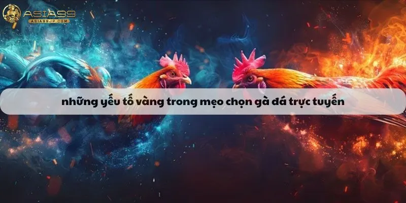 Những yếu tố vàng trong mẹo chọn gà đá trực tuyến