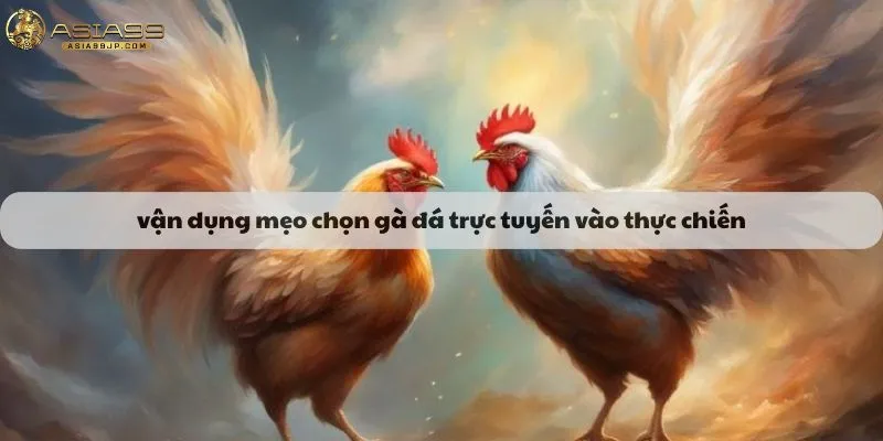 Vận dụng mẹo chọn gà đá trực tuyến vào thực chiến