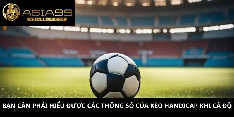 Bạn cần phải hiểu được các thông số của kèo Handicap khi cá độ