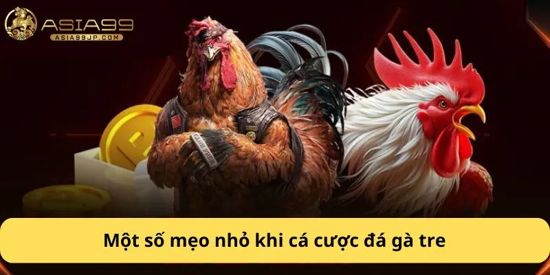 Một số mẹo nhỏ khi cá cược đá gà tre